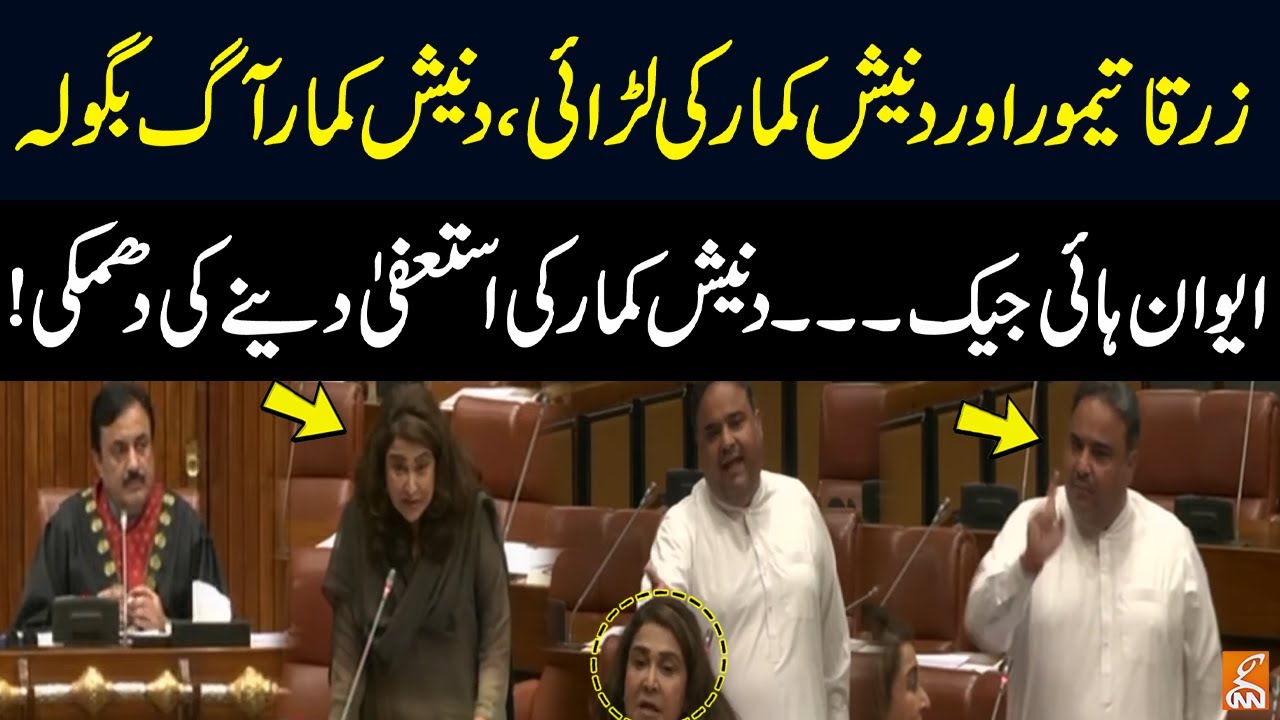 Dinesh Kumar vs Dr. Zarqa: Heated Senate Clash! | Danesh Kumar And Zarqa Taimoor Fight | GNN