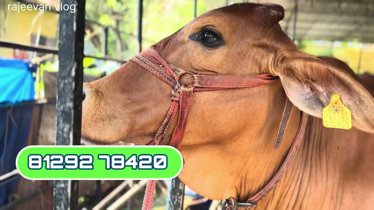 കേരളത്തിൽ