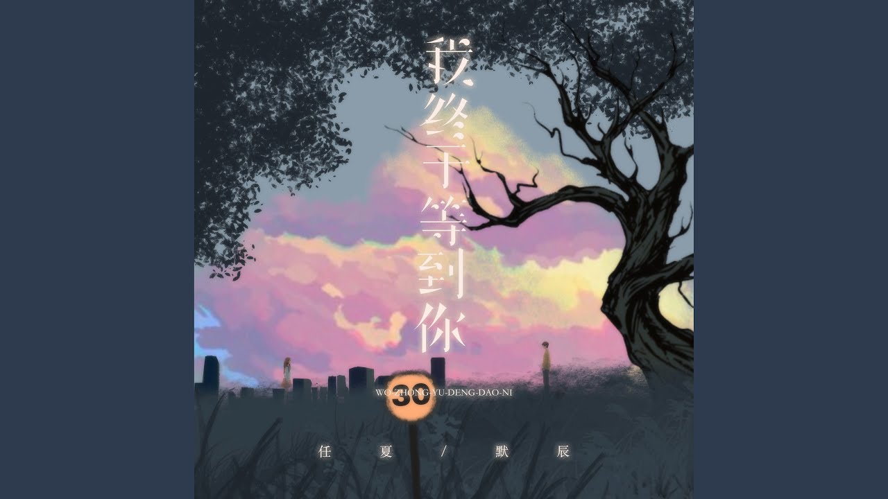我终于等到你 (幸福版)