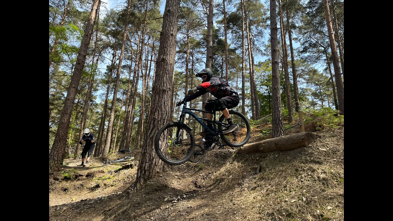 Swinley Forest: 3-to-1 Private Coaching Session.