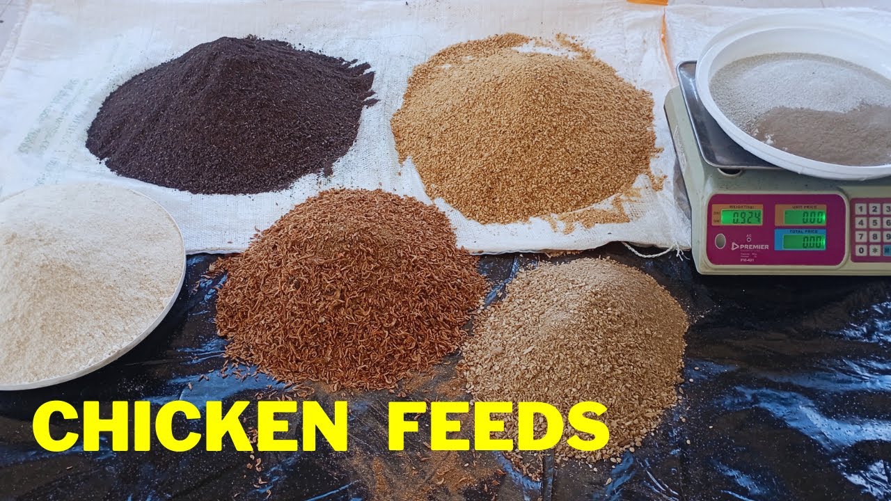 How I Made Own Chickens Feeds | Feeds Formulation