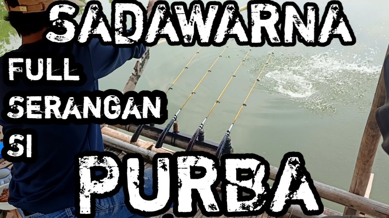 DISERANG SI PURBA(Sadawarna jatiluhur cirata) Part 4