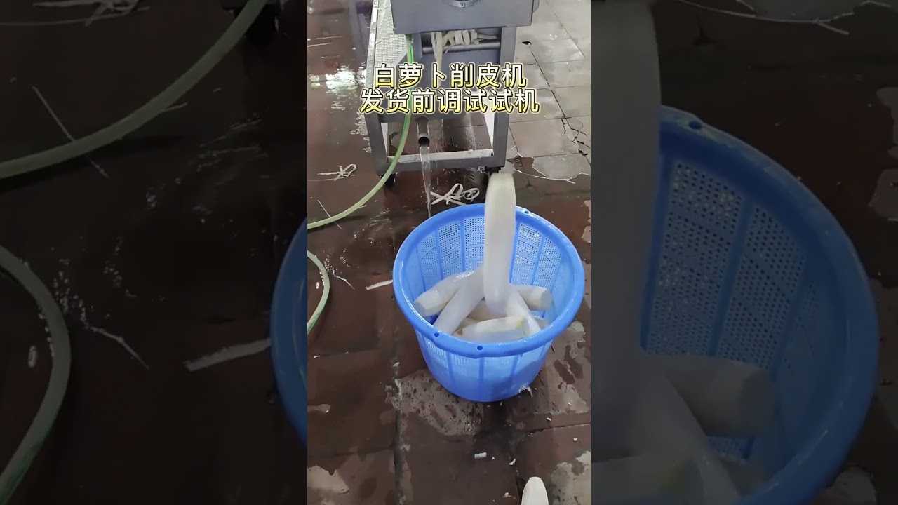Radish Peeling Machine #radishpeelingmachine #carrotpeelingmachine