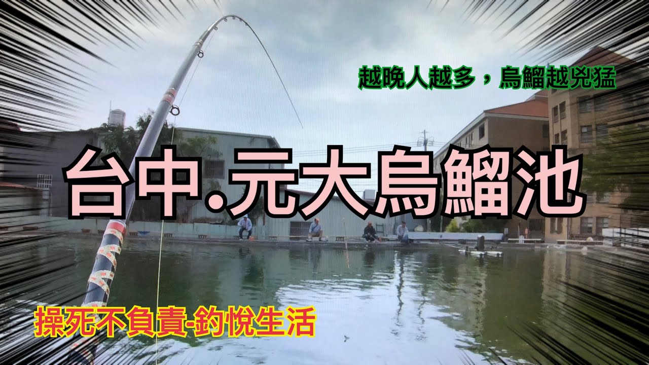 台中遠征第二集-元大烏鰡池#釣悅生活#操死不負責#釣魚
