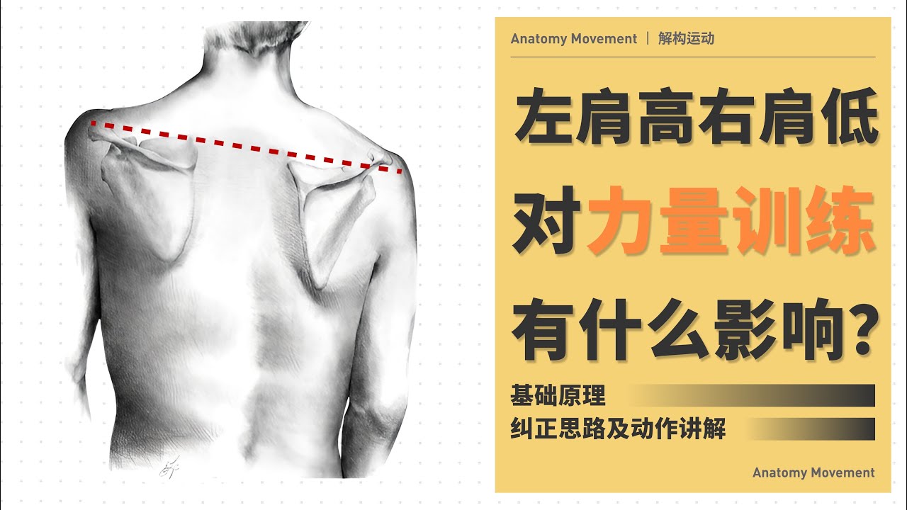 【高低肩】左肩高右肩低，对上肢训练和肌肉感受的影响丨解构运动丨公众号同名
