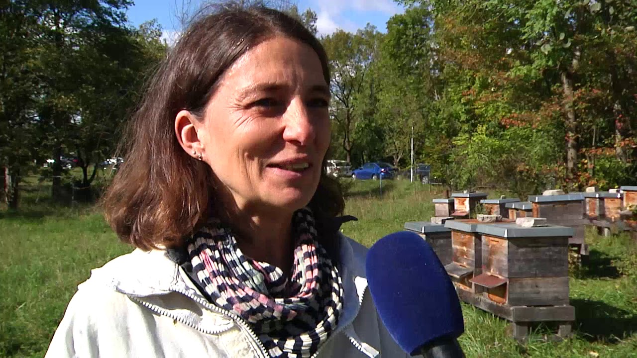 SWM Bienenschutz