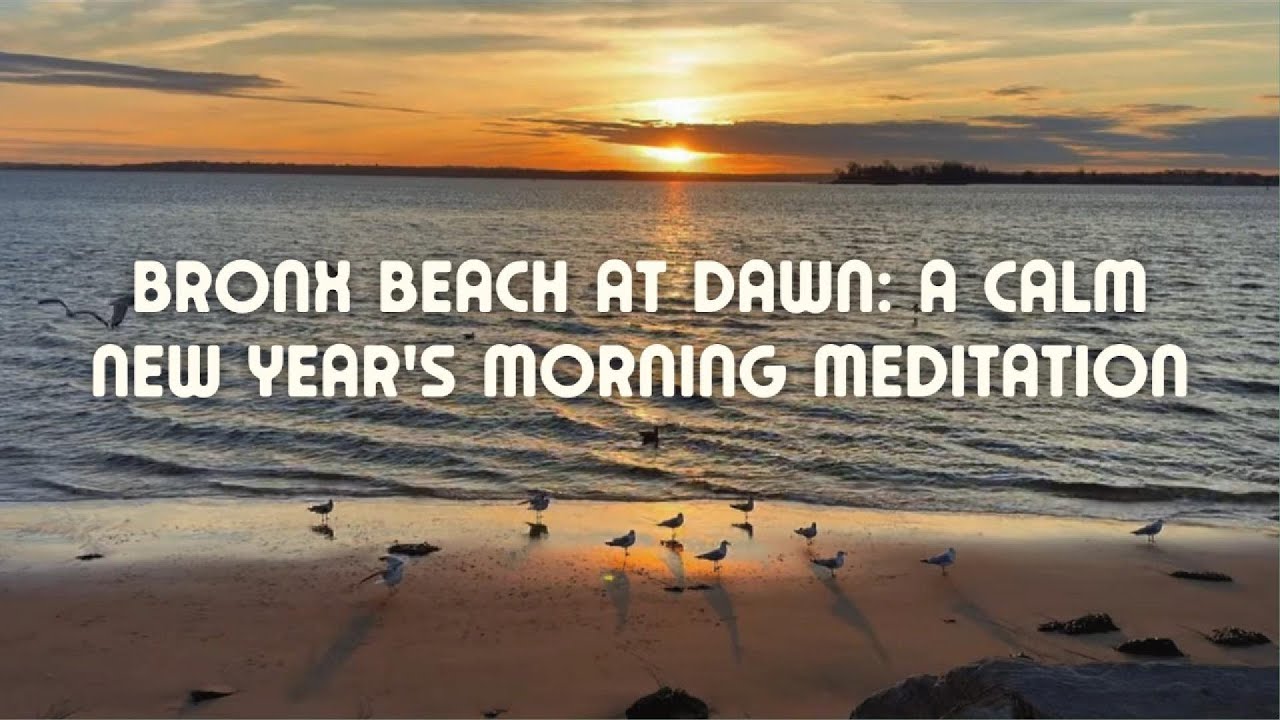 Bronx Beach At Dawn: A Calm New Year’s Morning Meditation