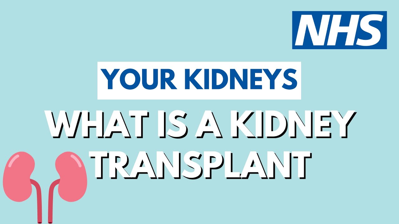 What is a kidney transplant | UHL NHS Trust