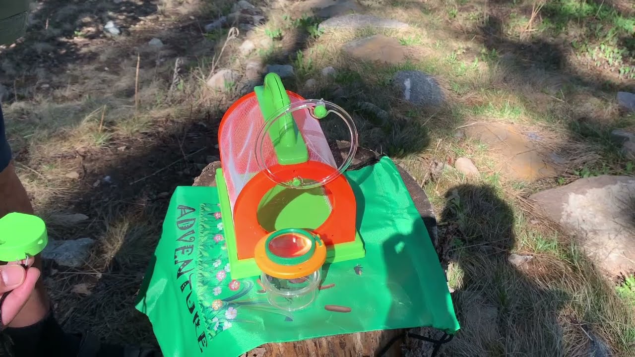 Bug Catcher Kit