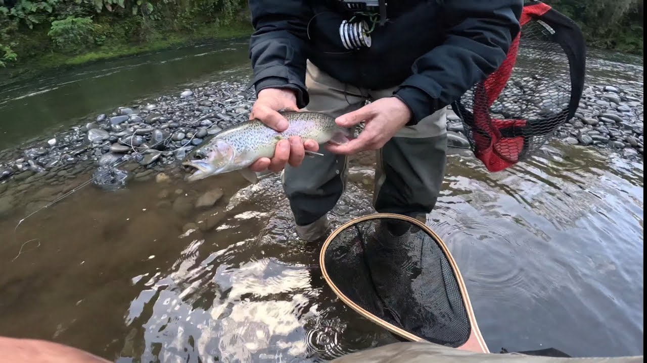Inicio de temporada 23/24 🤯 | Pesca en región de los ríos | Fly fishing Chile 💥🎣