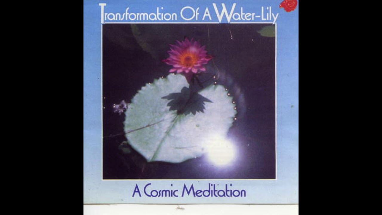 Michael Wehr - Transformation of a Water-Lily - A Cosmic Meditation (1988) FULL ALBUM