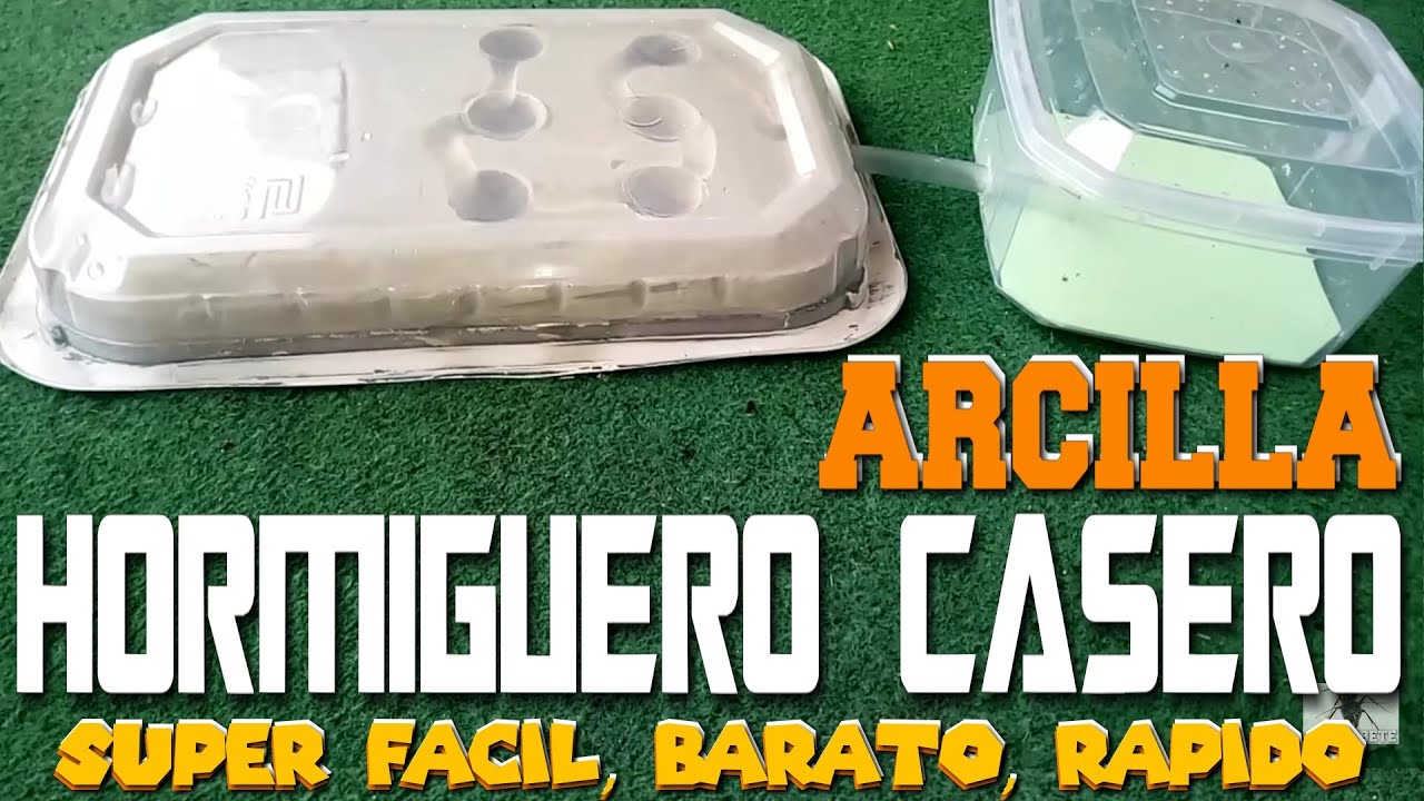 Cómo hacer Hormiguero casero fácil de Arcilla Tutorial hormiguero arcilla -Hormiguero Casero channel