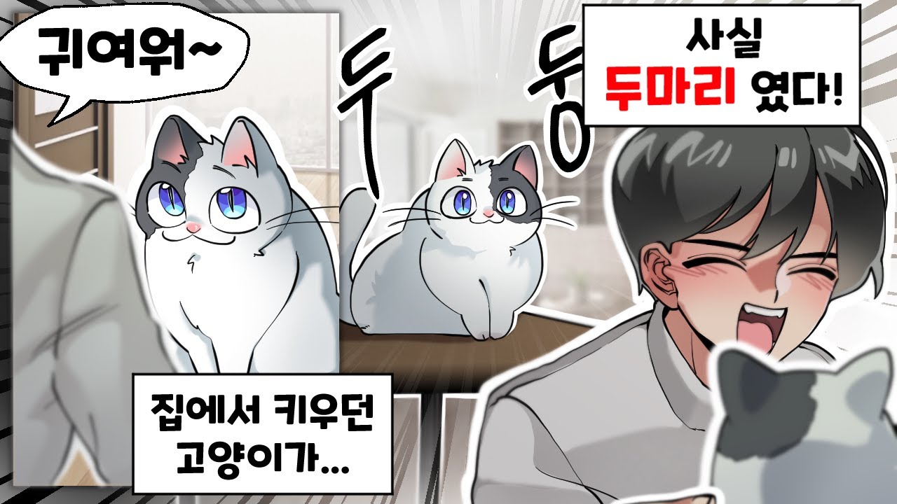 고양이 밥이 빨리 사라지던 이유 [만화게시판]