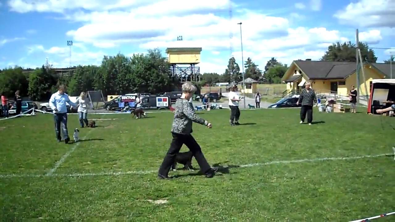 BIS-finalen 1