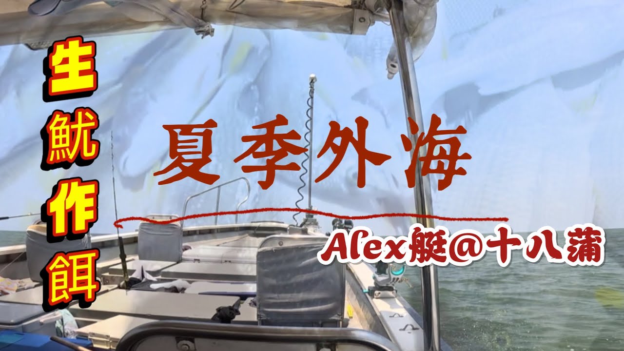 夏天外海｜釣牙點黃腳鱲｜魷魚餌夏季，當造魚口味｜