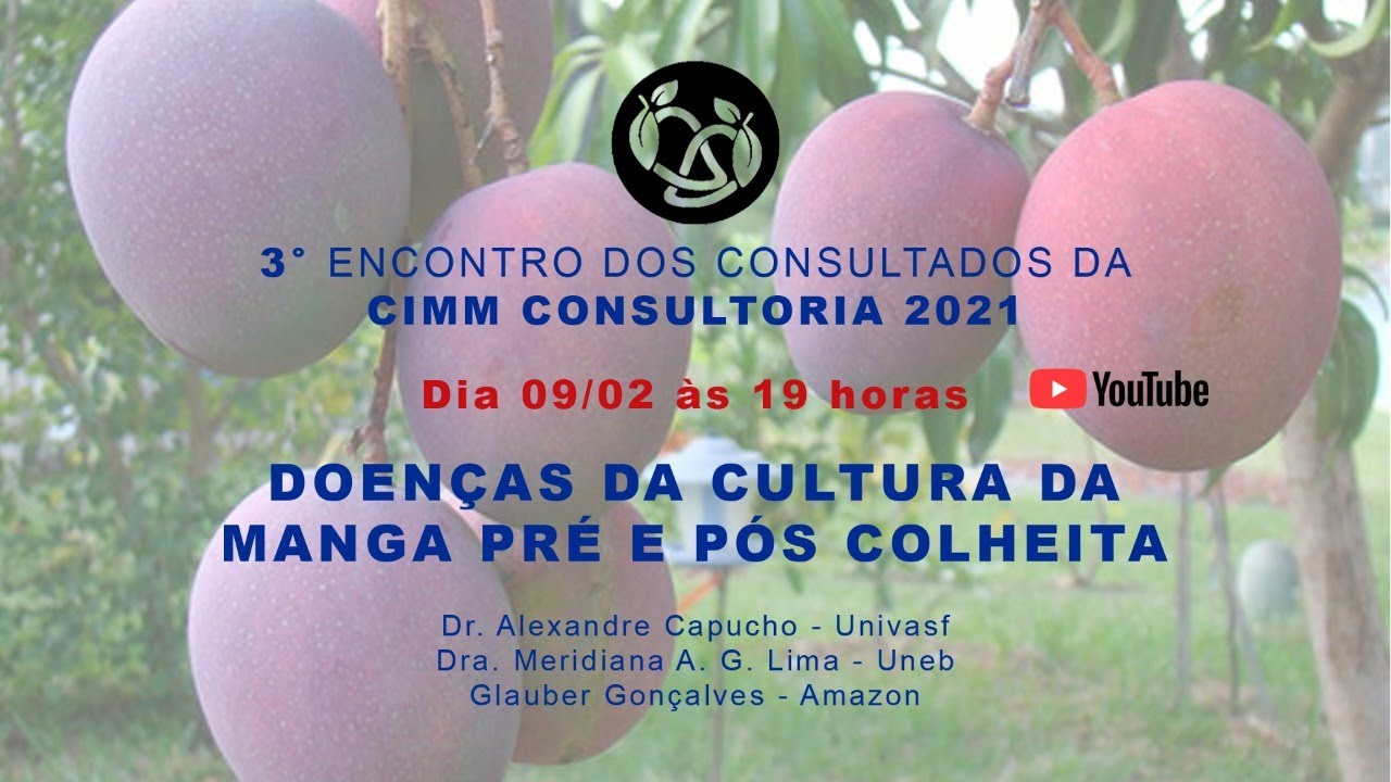 DOENÇAS DA CULTURA DA MANGA PRÉ E PÓS COLHEITA
