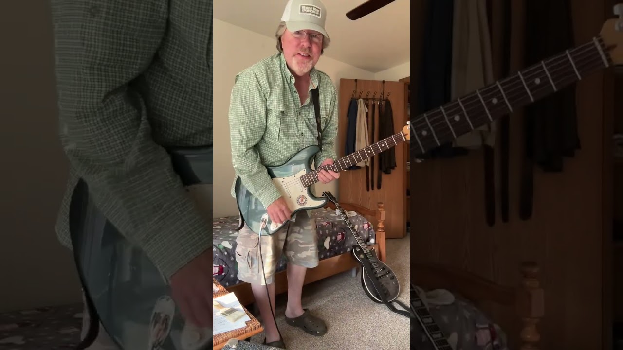 Fender Stratocaster Vs ESP Ltd.