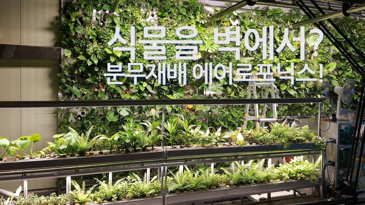 [스마트팜] 에어로포닉스 수직 벽면 재배를 소개합니다!