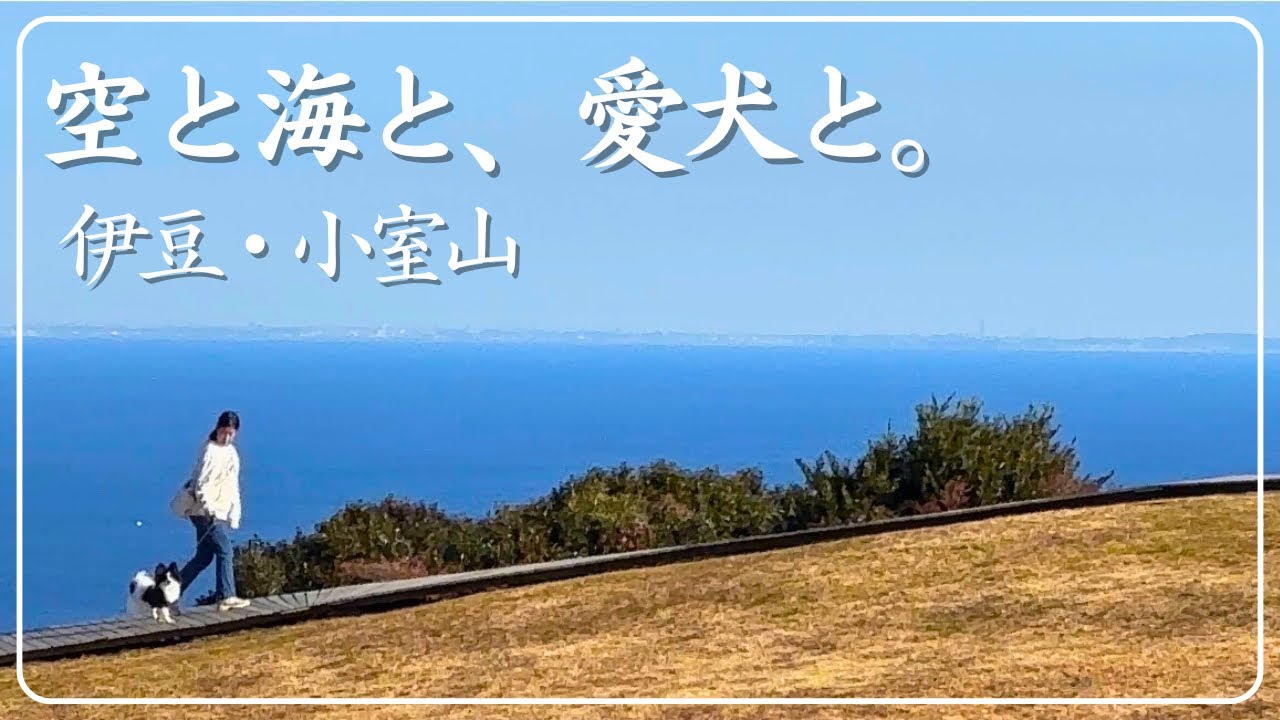 【伊豆Vlog】愛犬ノマと行く小室山！リフトを使わず徒歩で登ったら絶景が待っていた