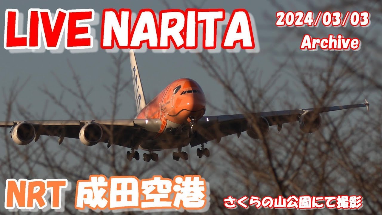 🔴LIVE at NARITA International Airport Plane Spotting　2024.03.03　成田空港ライブカメラ 成田空港　NRT/RJAA