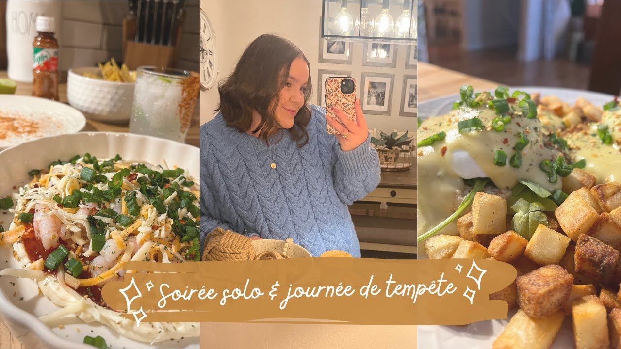 Vlog 