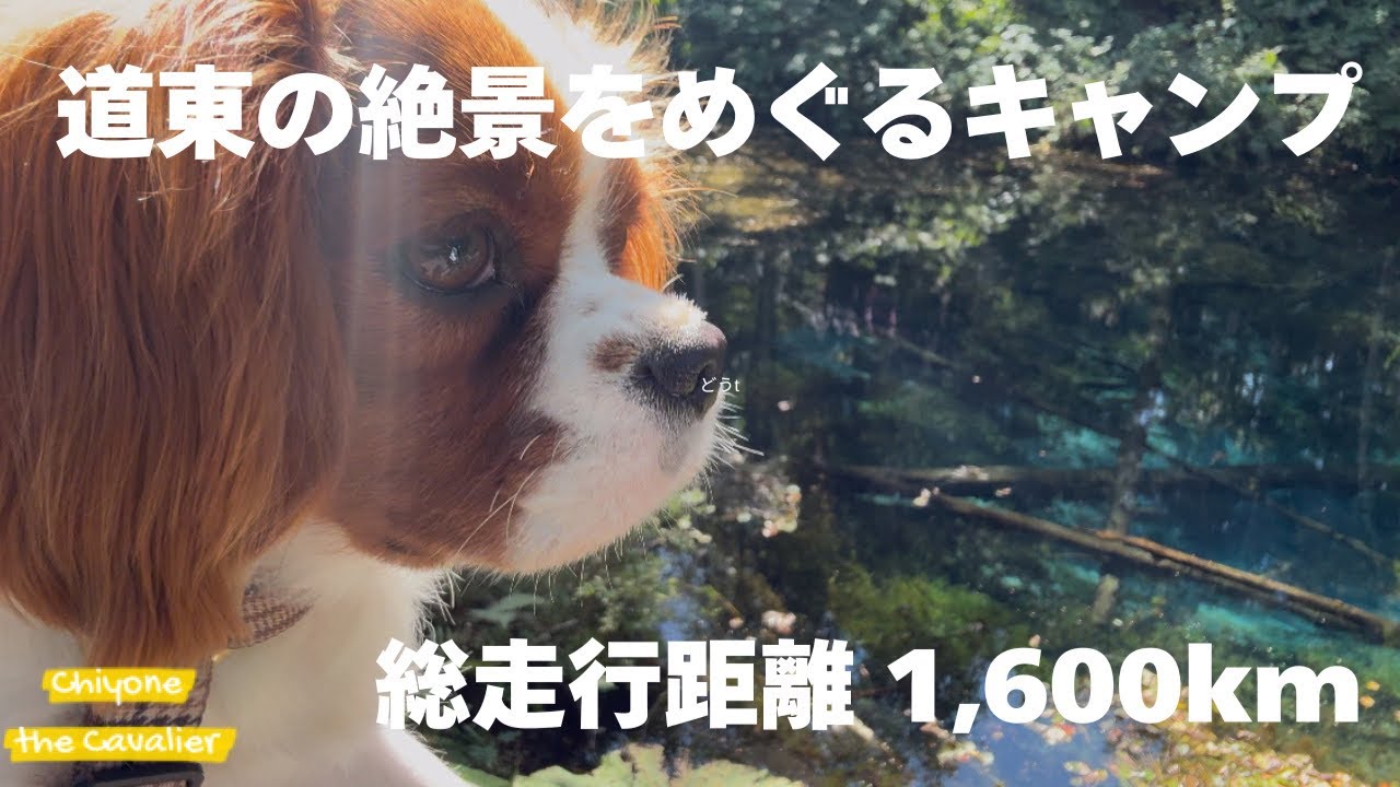 道東の絶景をさがす犬連れキャンプ旅 5泊6日 ダイジェスト【犬連れ北海道旅行とドライブにキャンプ】 - The camping dog with  Eastern Hokkaido Digest