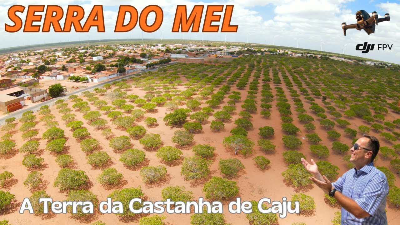 SERRA DO MEL a terra da CASTANHA de CAJU no RN