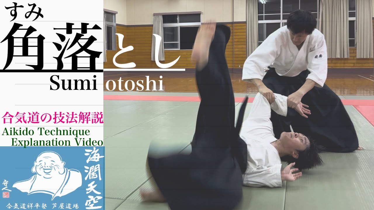 合気道 技法解説動画その8（角落とし）