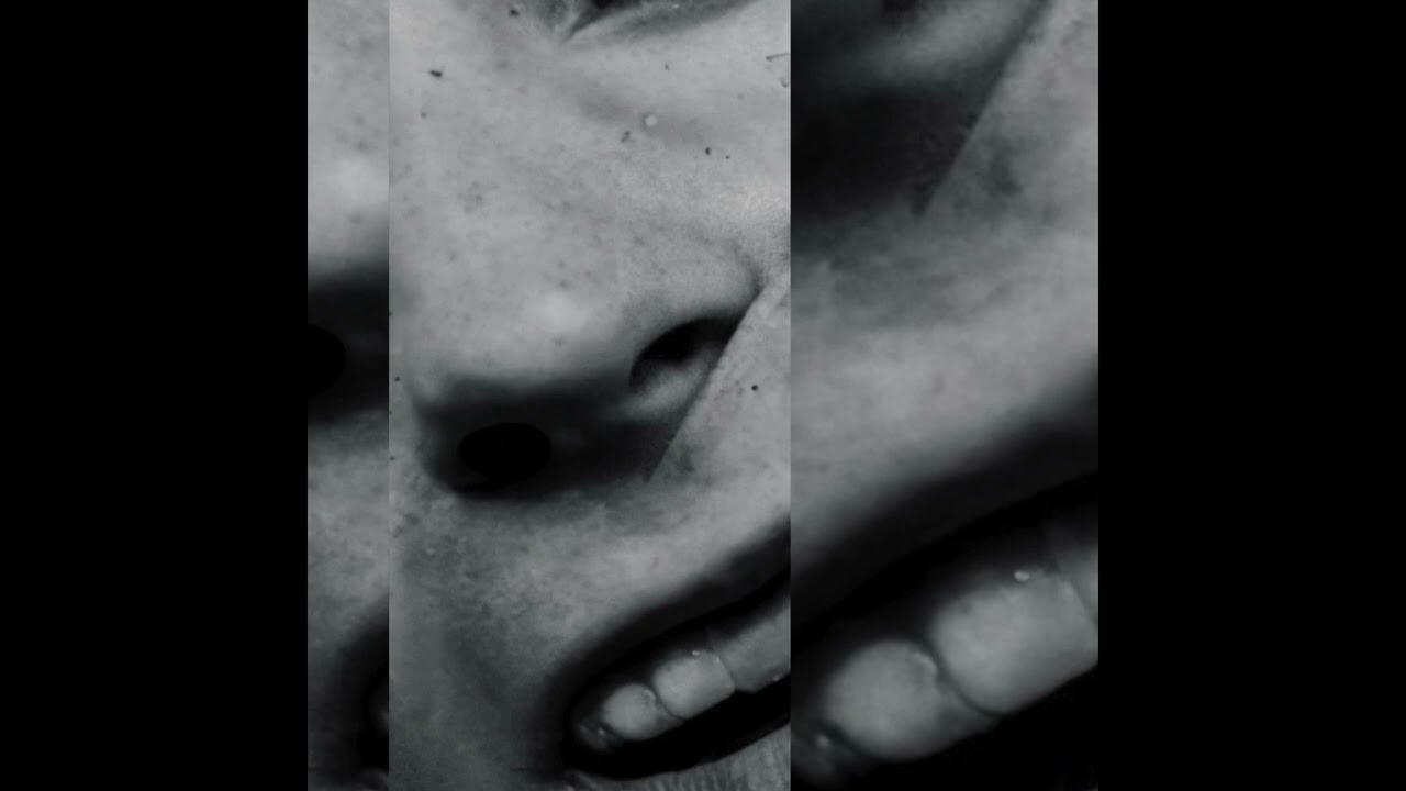 plantcham // experimental type beat - 