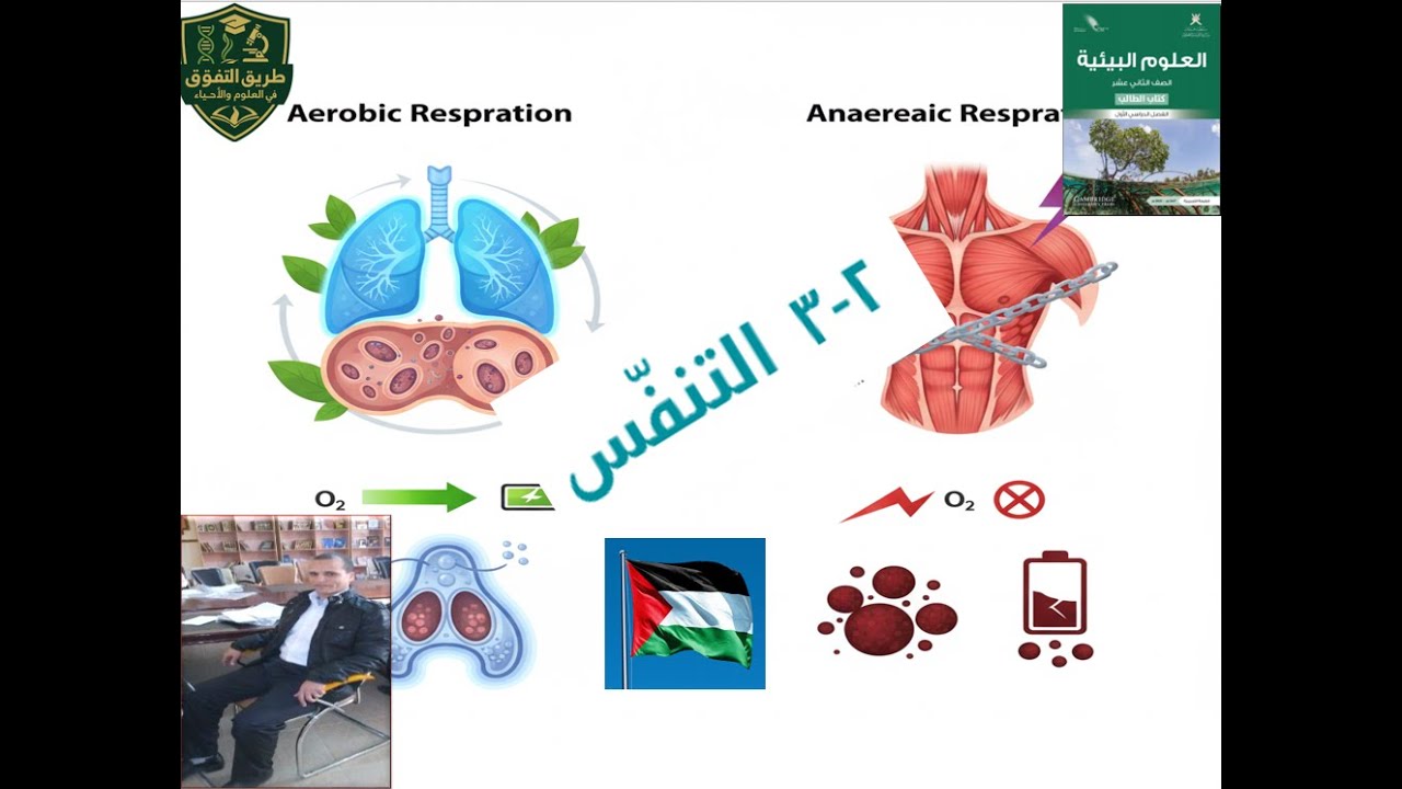 9- التنفس: سر السوبر باور للخلية