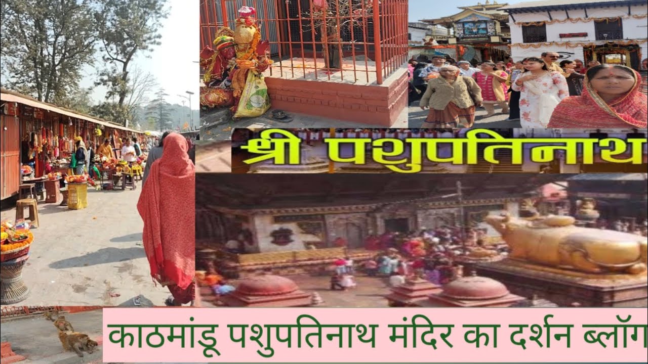 काठमांडू श्री पशुपतिनाथ मंदिर का दर्शन ब्लॉग//पूरी जानकारी//@Sanskariviralblog//#vairalblogvideo2026