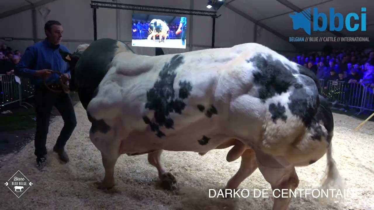 DARKO DE CENTFONTAINE (2022)