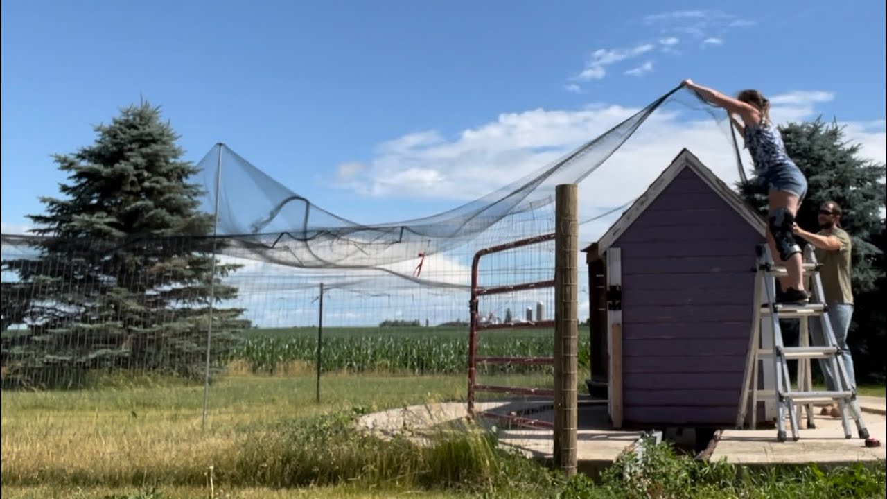 Setting Up A New Chicken Coop With Bird Netting // Making It Homestead