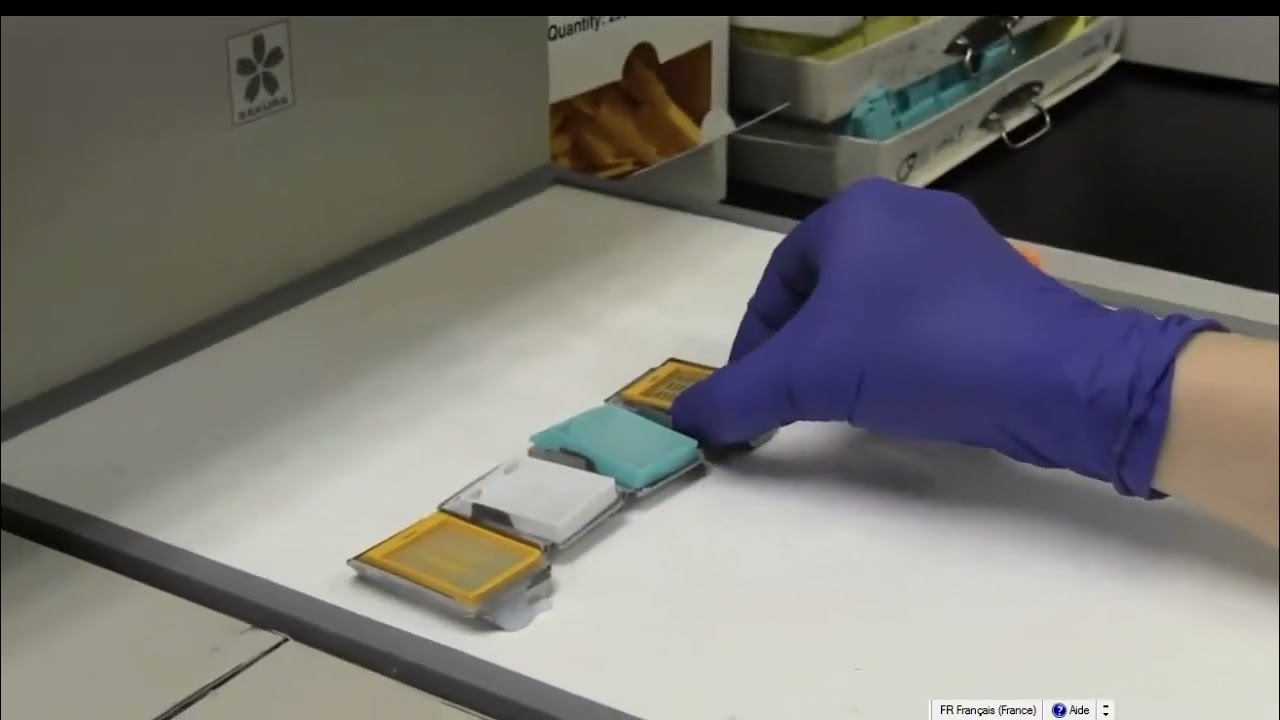 TP N&deg;02. La coloration Histologique : H&eacute;matoxyline Eosine.