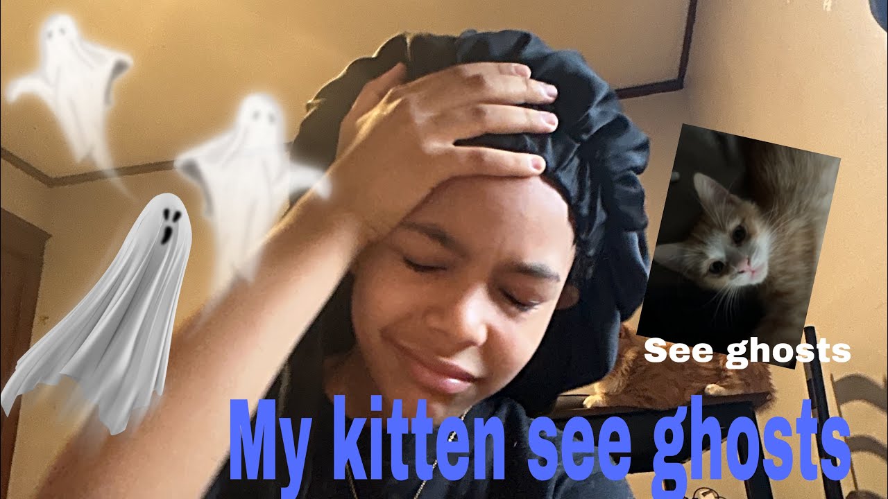 My kitchen see. Ghost🥺￼