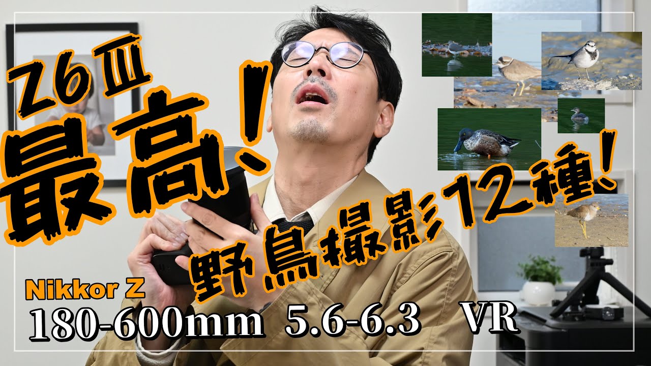 Nikon Z6Ⅲの野鳥撮影が最高！和歌山で秋の野鳥１２種類を撮影してきたよ