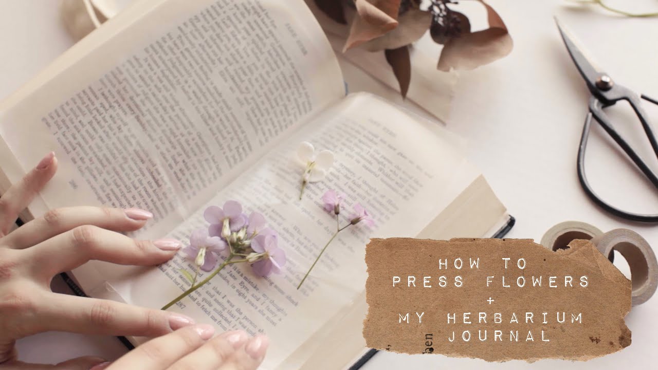 pressing flowers + my herbarium journal (mindfulness practice) ♡