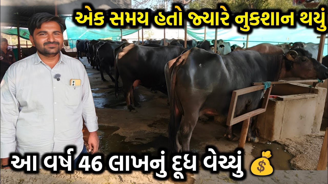 🔥 35 વર્ષની ઉંમરે 46 લાખનું દૂધ! | બનાસકાંઠાનો ડેરી કિંગ 🐄💥