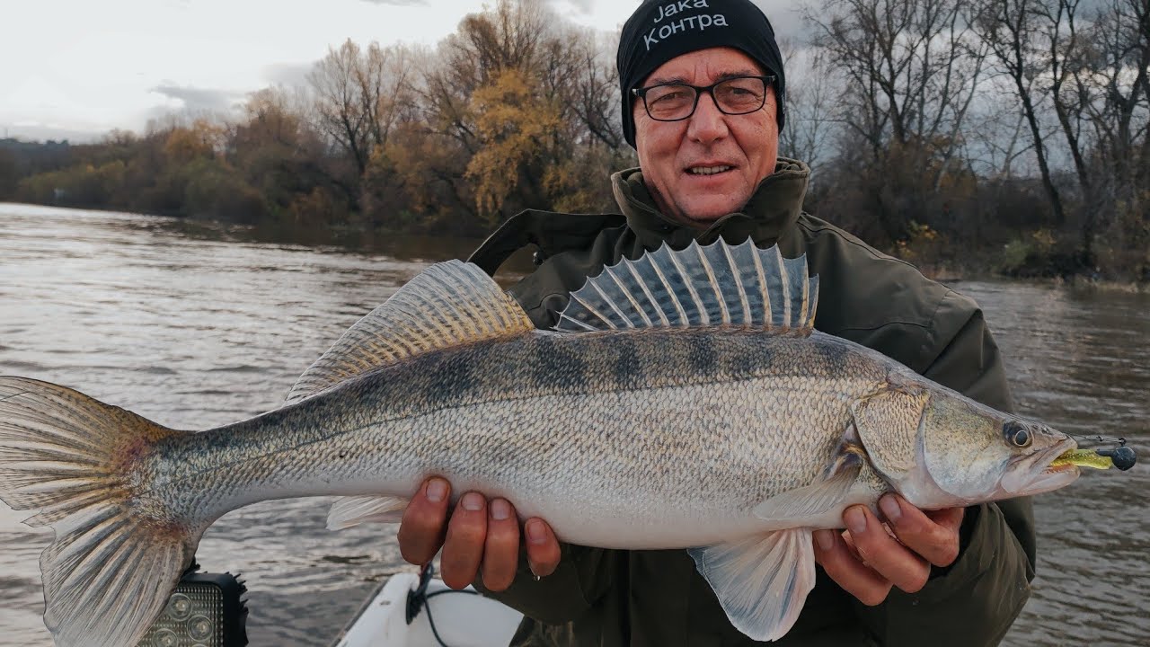 Pecanje smudja (sa tatom ove igre)-FISHING ZANDER- #jigging #fishing #zander