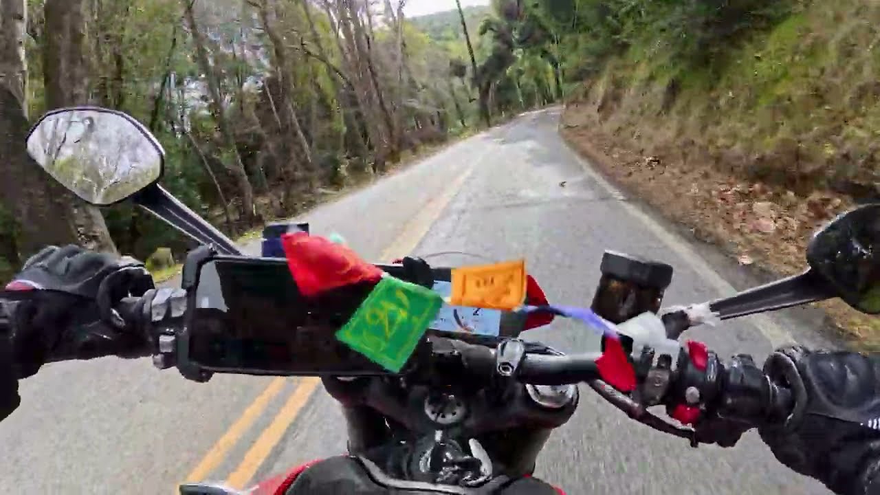 POV Ducati Monster 937cc | 4k