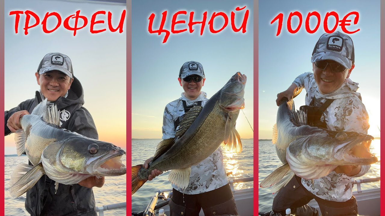 Трофейная рыбалка в Финляндии. Рыбалка с Корейцем.