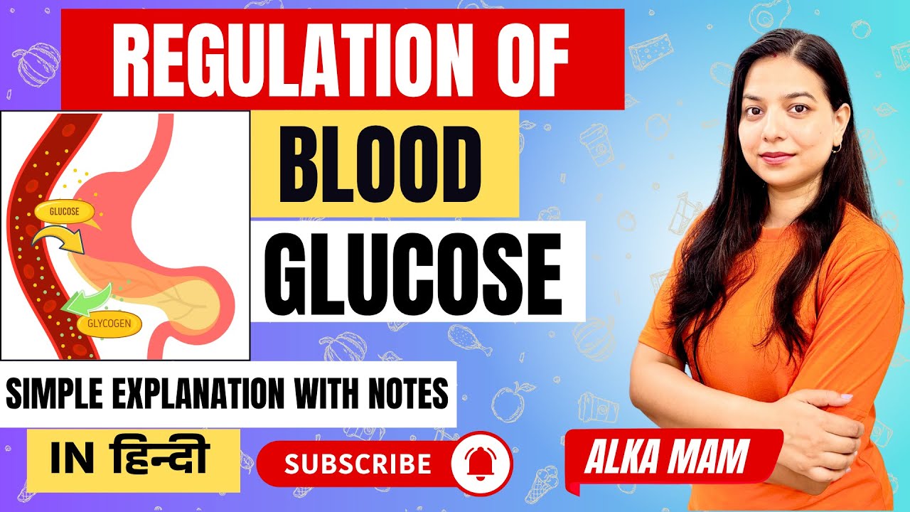 Regulation of Blood Glucose | Insulin & Glucagon Made Simple | In Hindi | ALKA PANDEY