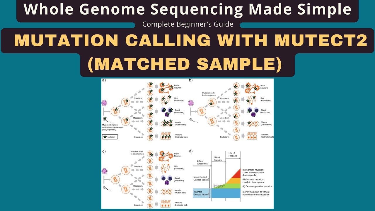 WGS Analysis for Beginners Part 2A: GATK Mutect2 Matched Tumor-Normal Somatic Mutation Calling