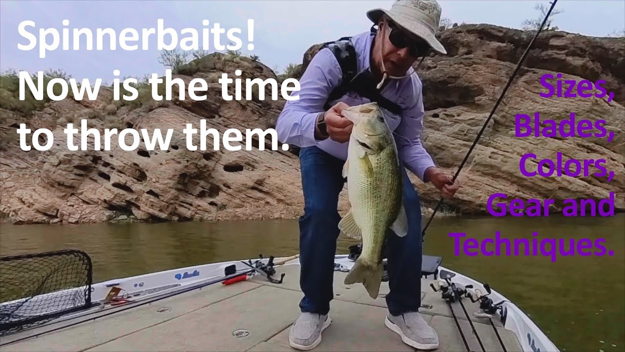 Мастер-класс по спиннинговой ловле: техники, удилища и наживки для крупного окуня!