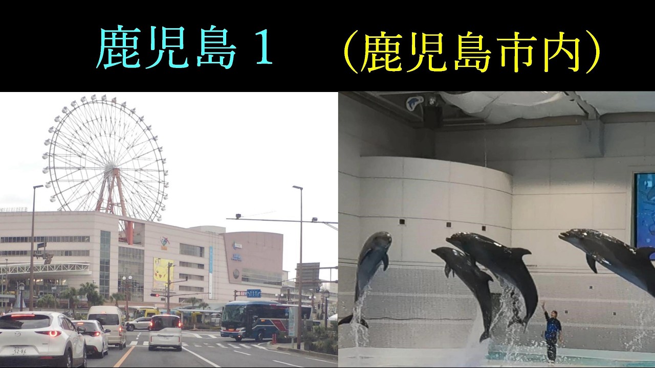 2026 鹿児島 1 　シルクイン鹿児島泊、水族館