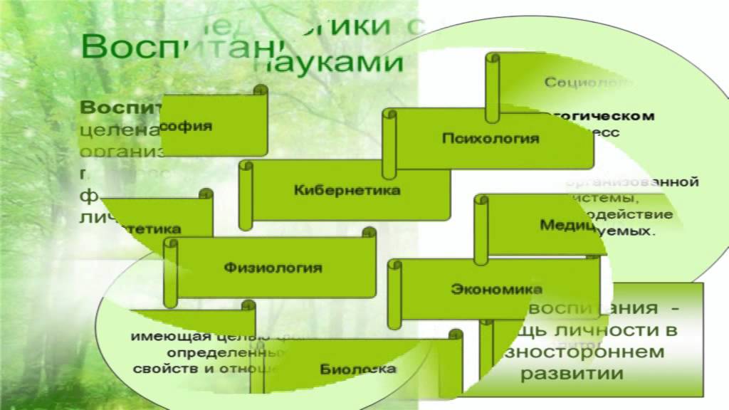 Разумова Л.П. Педагогика.  Л1. Педагогика как наука