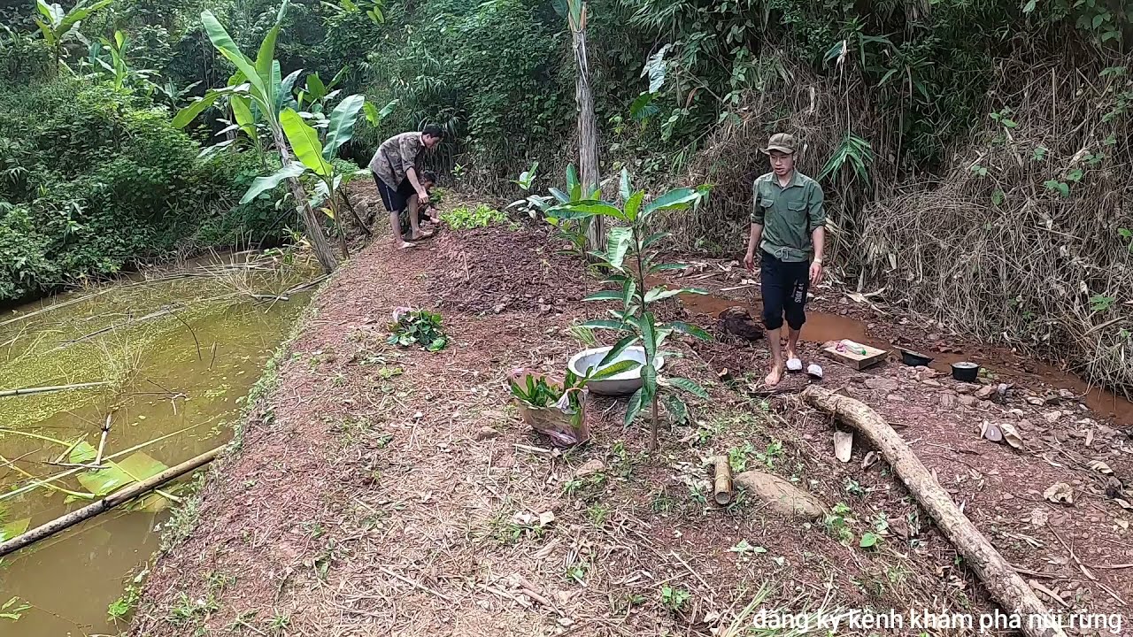 sống trong rừng  t16 - thực hiện phương chậm trông rau nuôi cá  / khám phá núi rừng