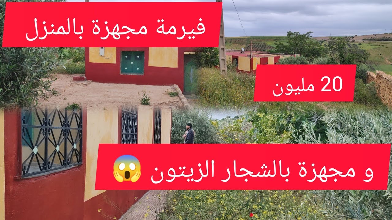 عنداك تمنع هادي تبارك الله اخيرا حلمك تحقق فيرما صغيره محفضة مجهزة بالماء والكهرباء والاشجار الزيتون