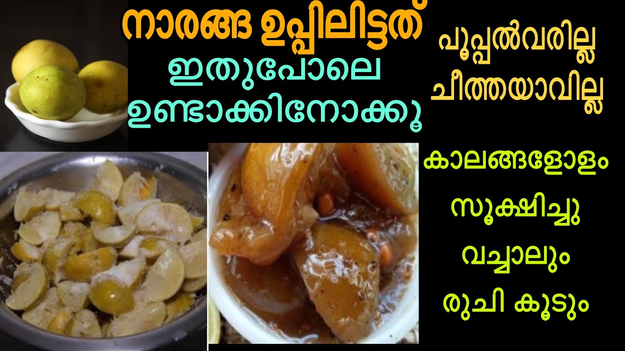 നാരങ്ങ ഉപ്പിലിട്ടത്| എത്രകാലം വച്ചാലും ചീത്തയാവില്ല പൂപ്പൽപിടിക്കില്ല|Naranga Uppilttathu