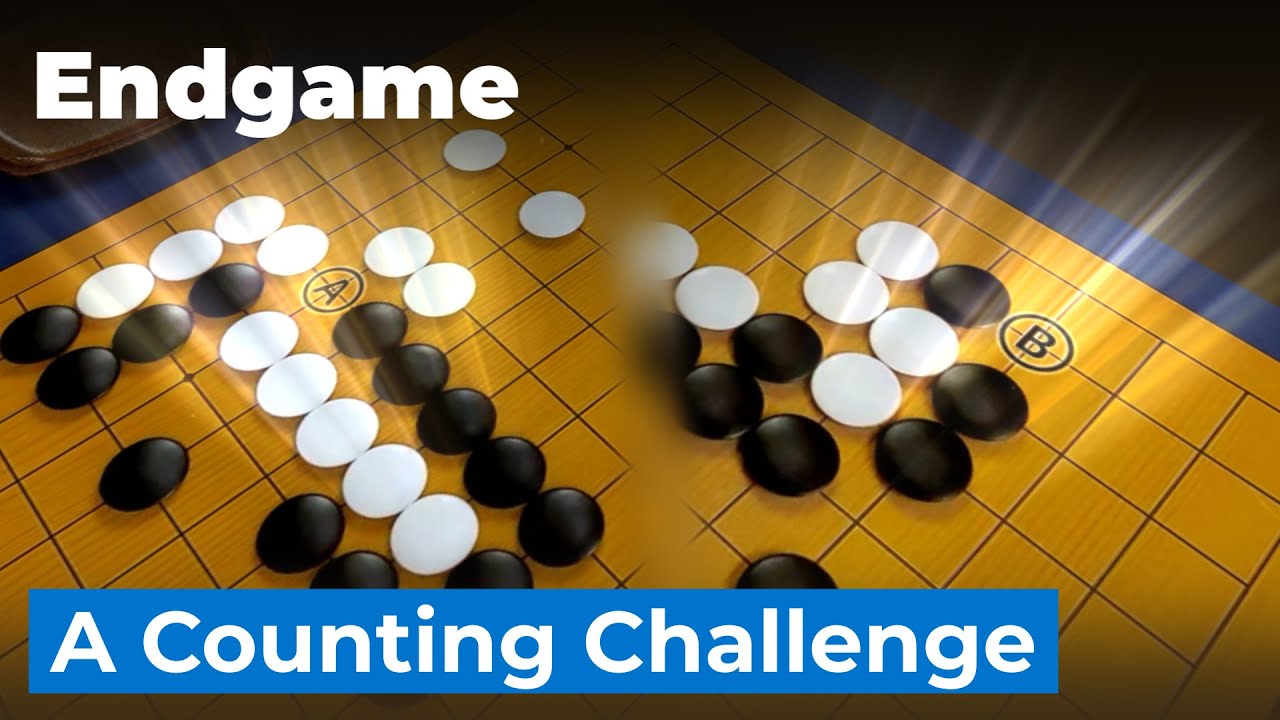 Endgame/Yose Counting Basics in the Game of Go